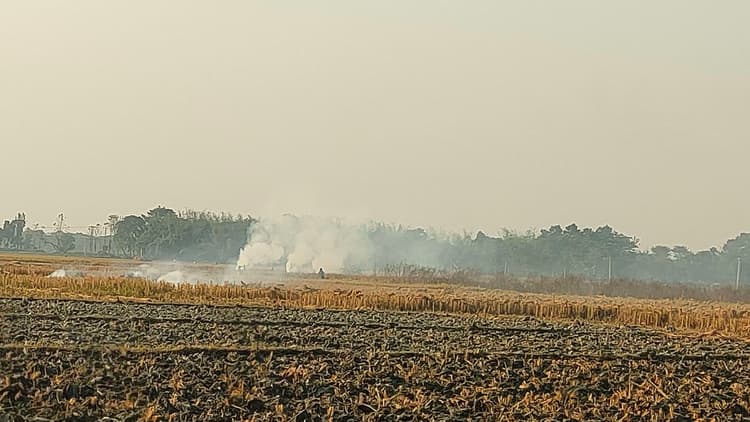 पराली जलाने से बढ़ रहा प्रदूषण, उर्वरा शक्ति पर असर