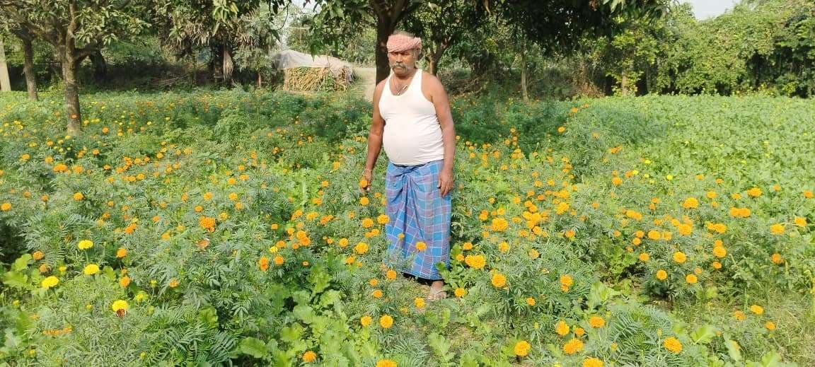 गेंदा फूल व बंधा गोभी की मिश्रित खेती कर किसान बेहतर आमदनी कर रहे अर्जित