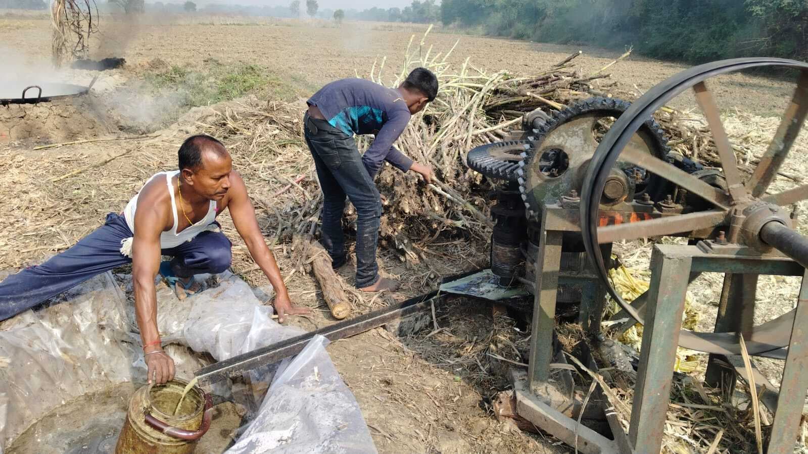 10 बीघे में गन्ने की खेती कर किसानों ने बढ़ायी आमदनी