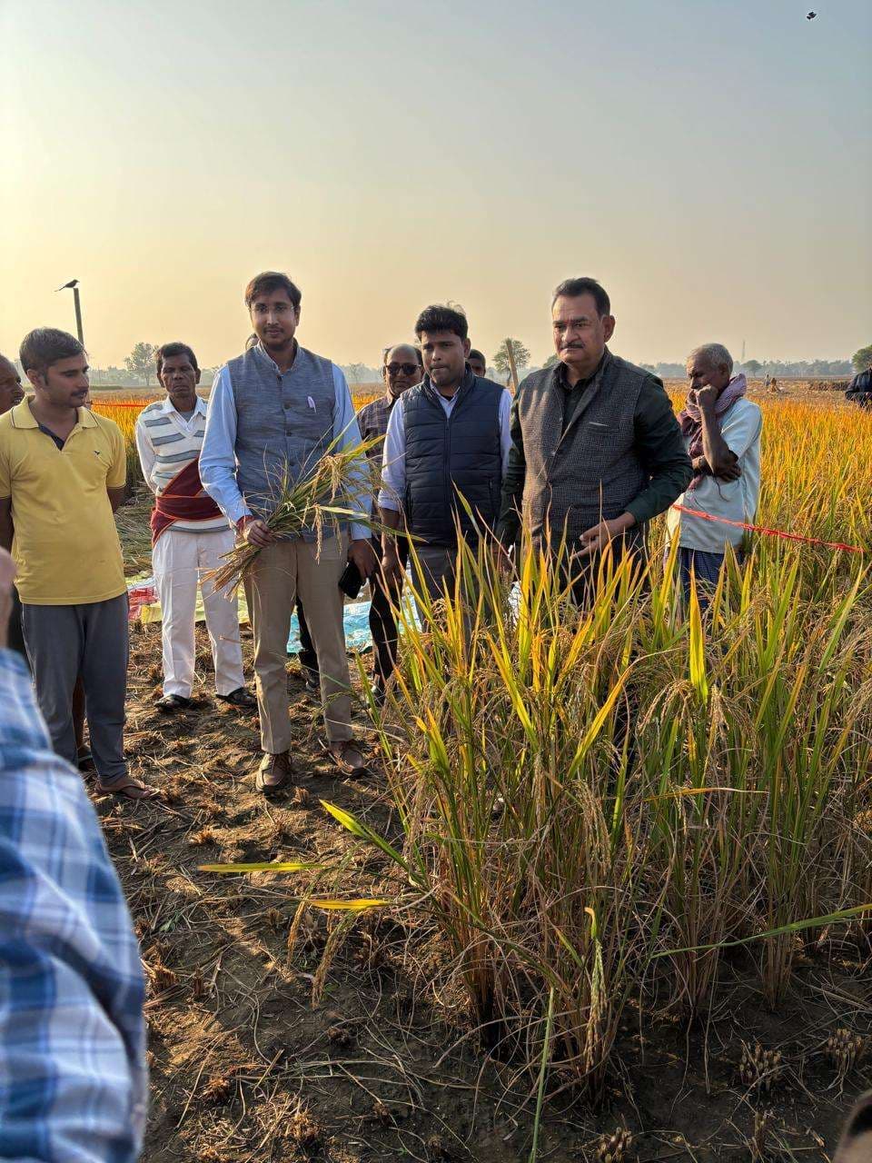 किसानों के खेत में 61.24 क्विंटल प्रति हेक्टेयर धान की हुई उपज