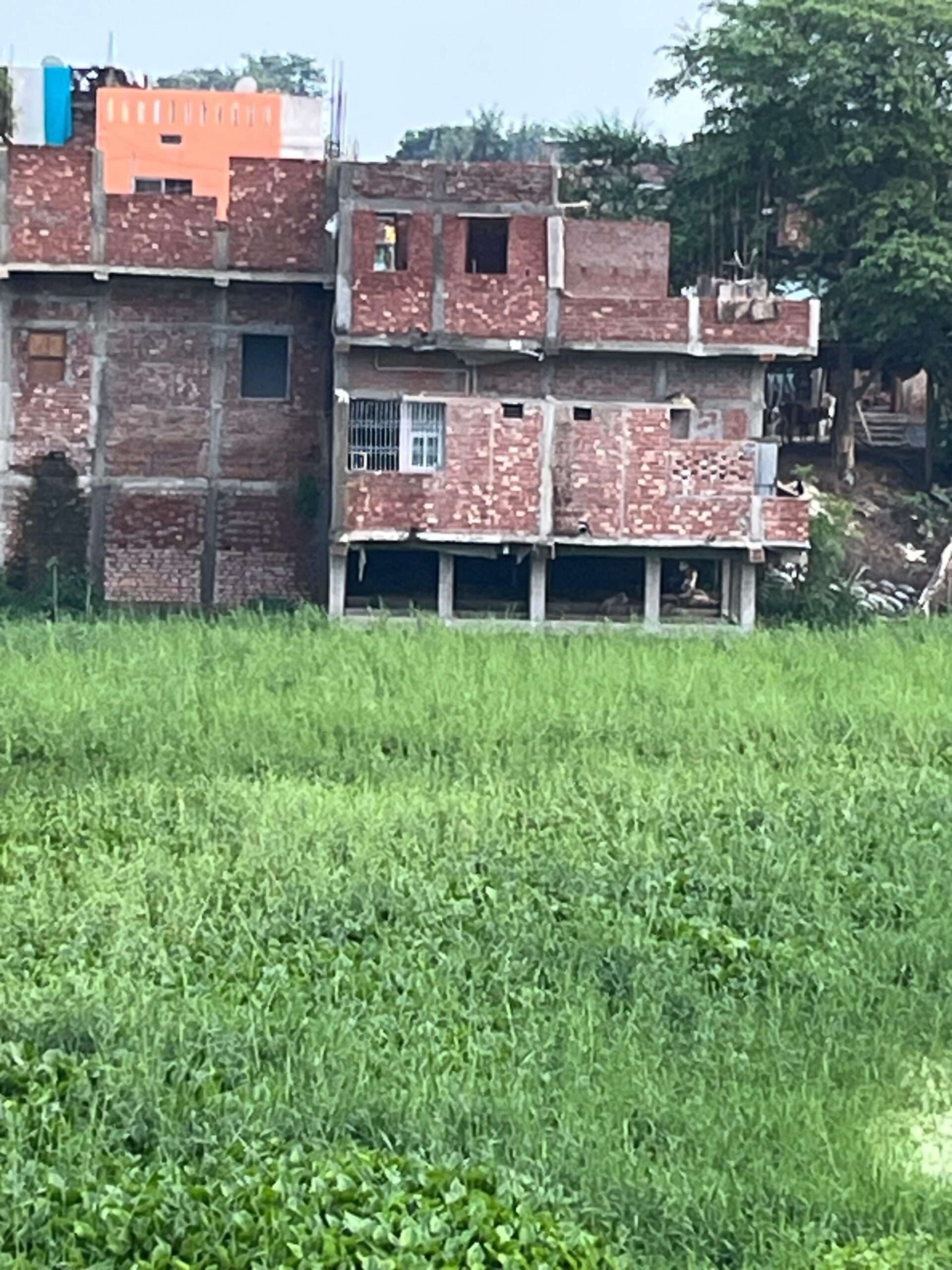 अलौली में सीओ के आदेश का नहीं हो रहा अनुपालन, अतिक्रमण धड़ल्ले से जारी