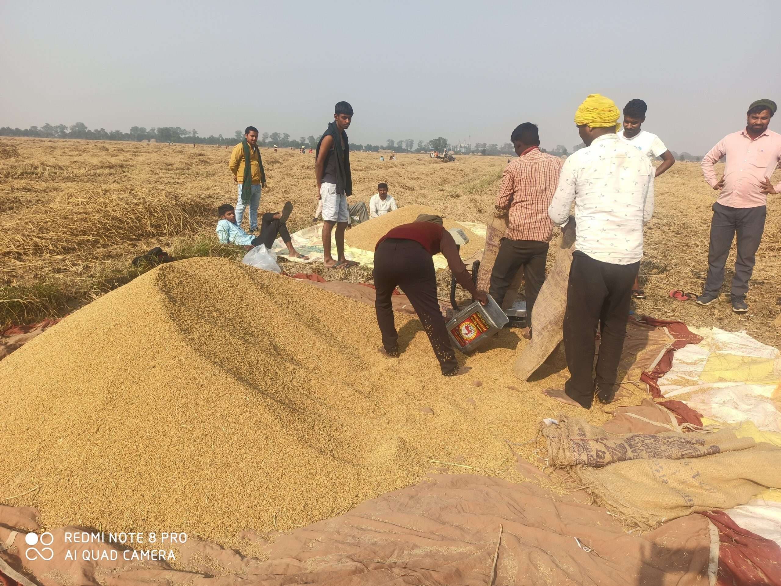 sasaram News: कम दाम पर धान बेचने को मजबूर है किसान