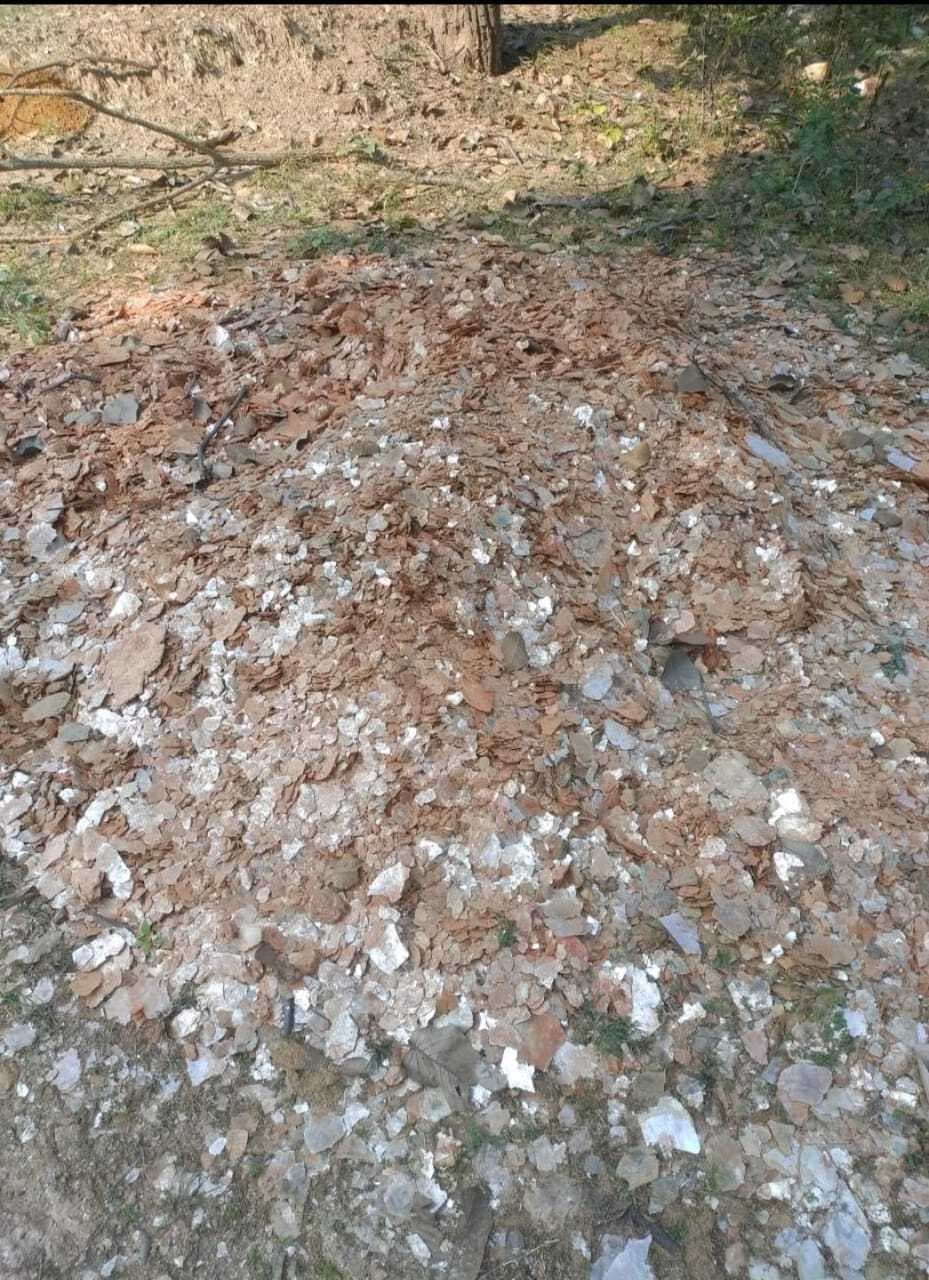 Giridih News :अवैध खदान में वन विभाग ने की छापेमारी, एक टन माइका जब्त