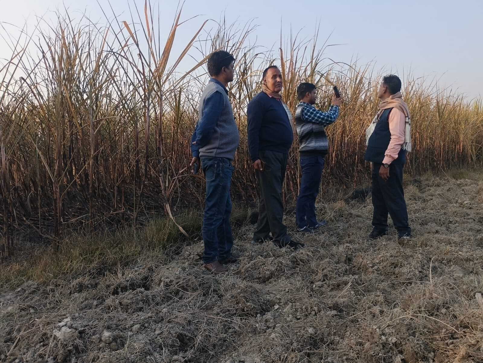 बैकुंठपुर के महुआ गांव में गन्ने की फसल में लगी आग, लाखों का हुआ नुकसान