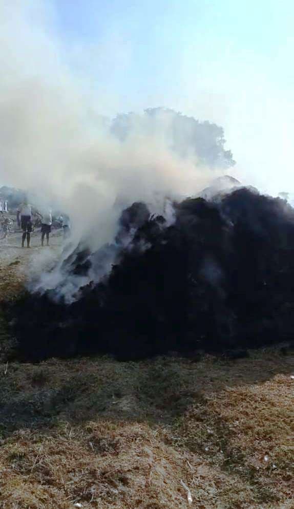 खलिहान में लगी आग, 600 बोझा धान जल कर राख