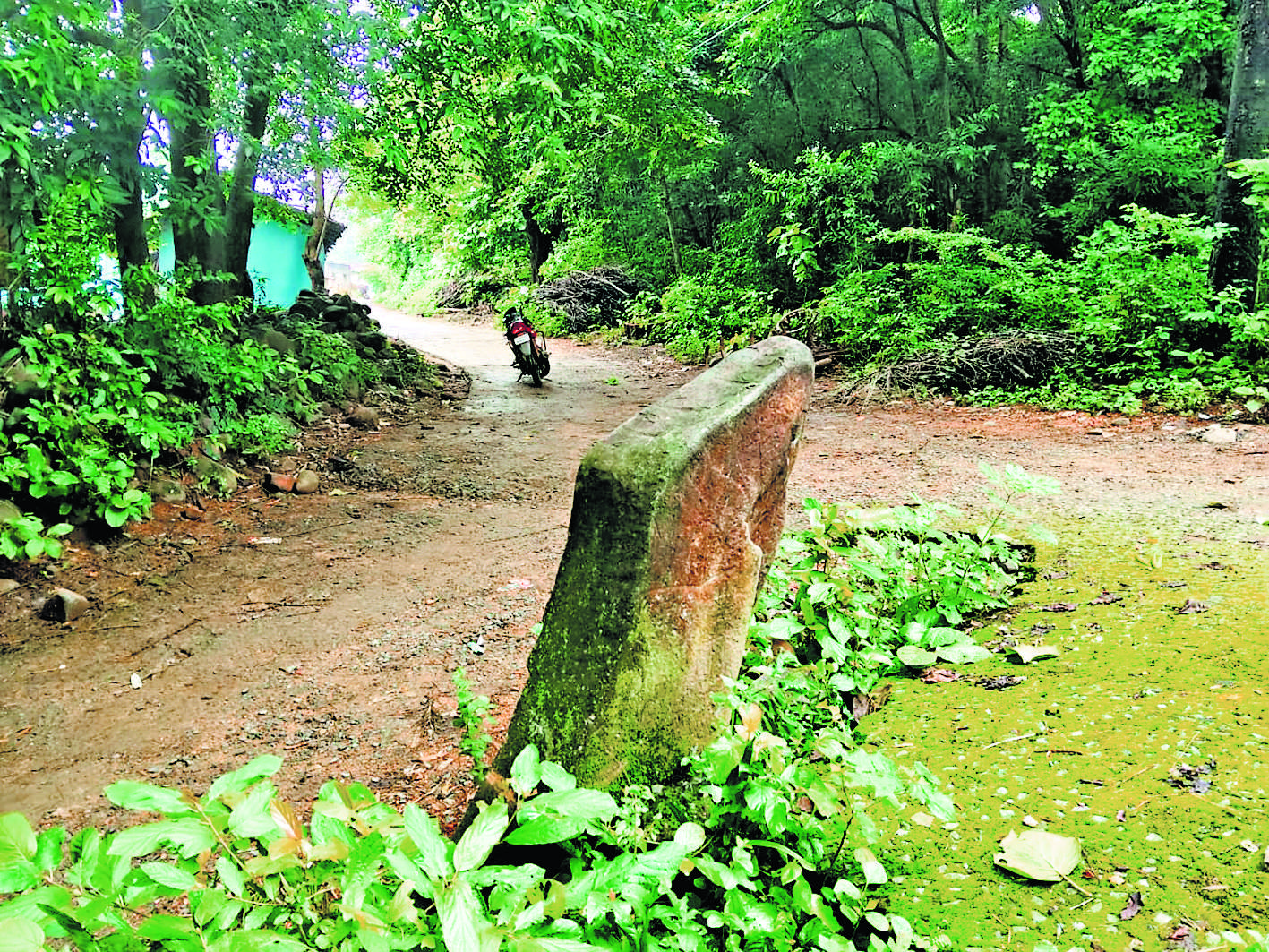 Seraikela Kharsawan News : रावणकोचा से पांच दूर है मतदान केंद्र, ज्यादातर मतदाता नहीं कर पाते वोट
