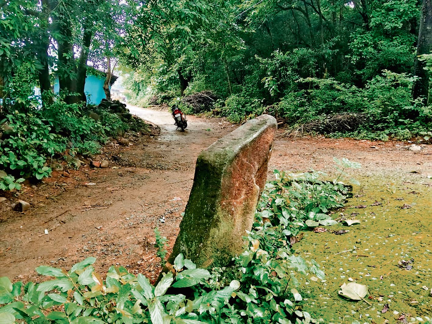 Seraikela Kharsawan News : रावणकोचा से पांच दूर है मतदान केंद्र, ज्यादातर मतदाता नहीं कर पाते वोट