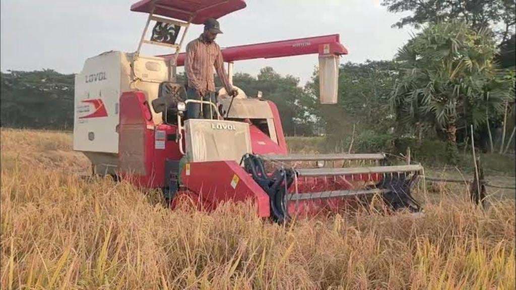 कृषि विभाग के पास फसल अवशेष प्रबंधन की व्यवस्था नहीं, किसानों पर एफआइआर