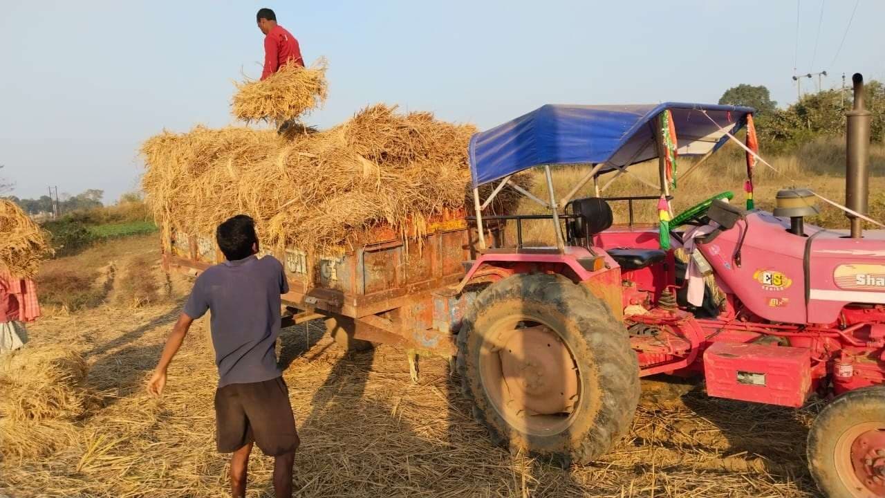 Bokaro News : गांवों में मंडराने लगे बिचौलिये, सरकारी क्रय केंद्र के लिए हो रहा निर्देश का इंतजार