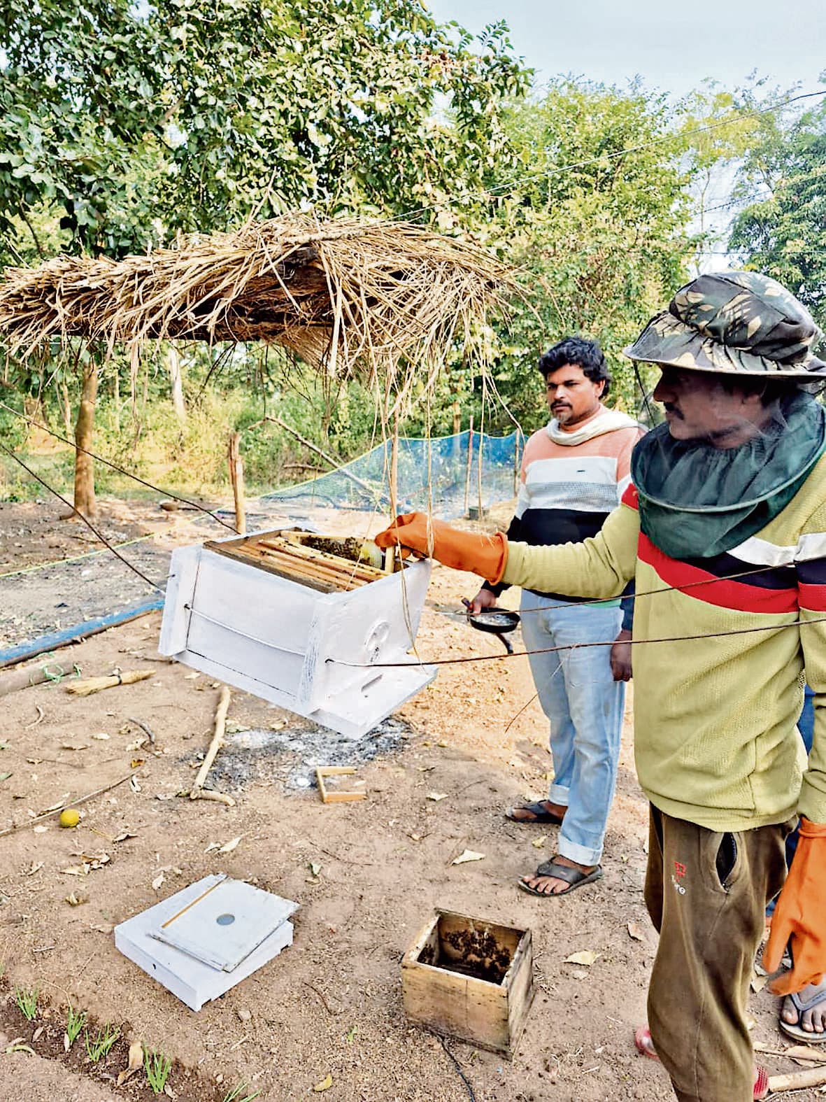 East Singhbhum News : हाथियों के गांव में प्रवेश रोकने के लिए मधुमक्खी पालन की पहल