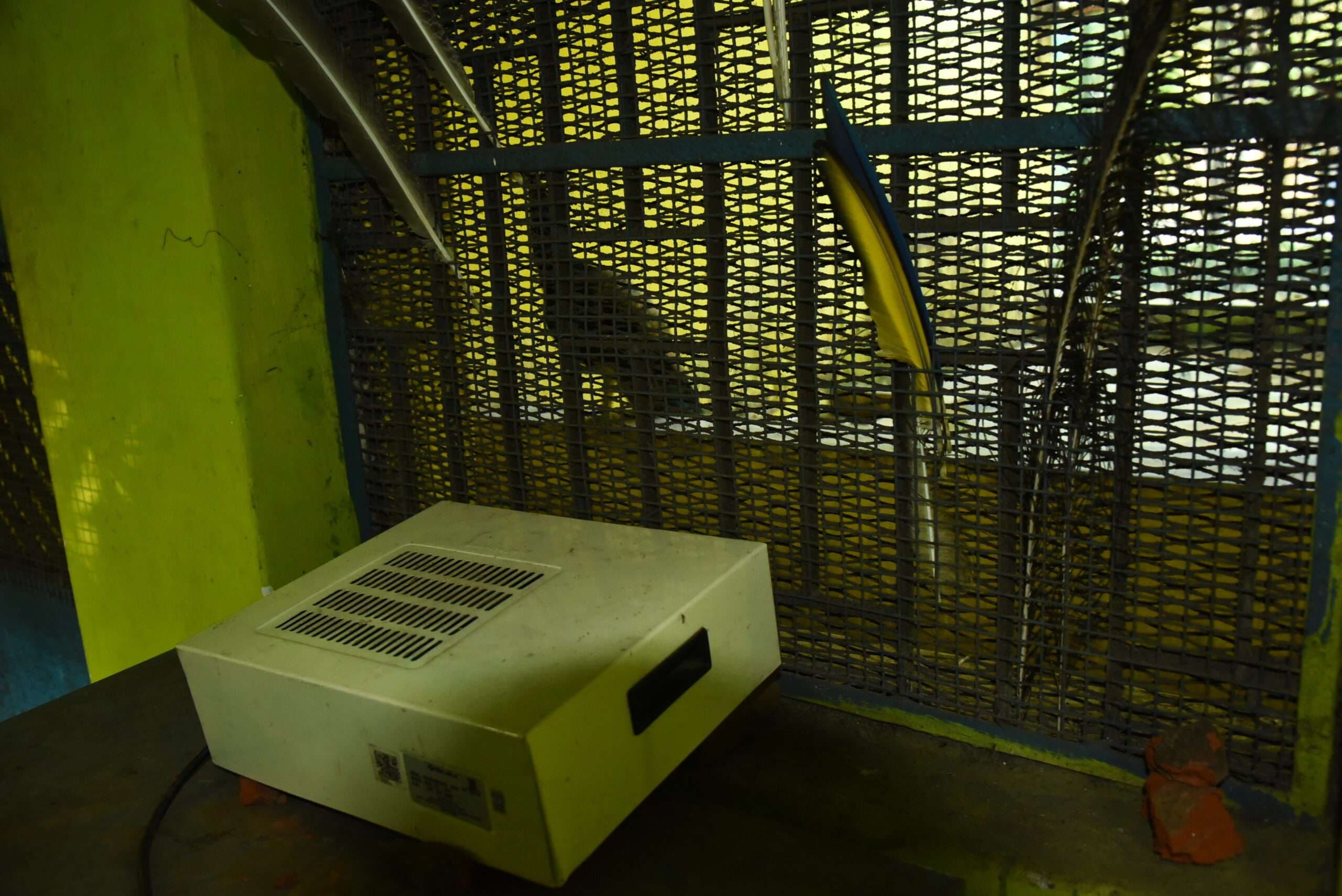 Rourkela News: इंदिरा गांधी पार्क के चिड़ियाघर में रूम हीटर, इनकैंडेसेंट बल्ब व पारंपरिक विधि से जानवरों को गर्म रखने की हुई व्यवस्था