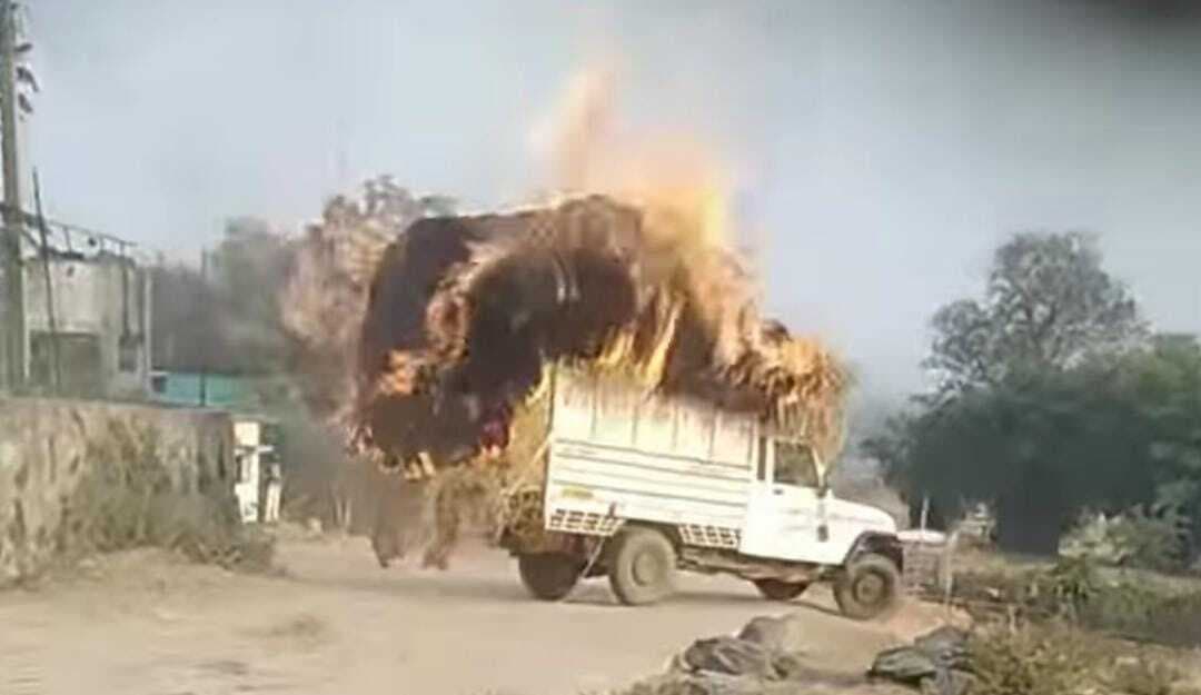 Giridih News :हाइटेंशन तार की चपेट में आने से लगी आग