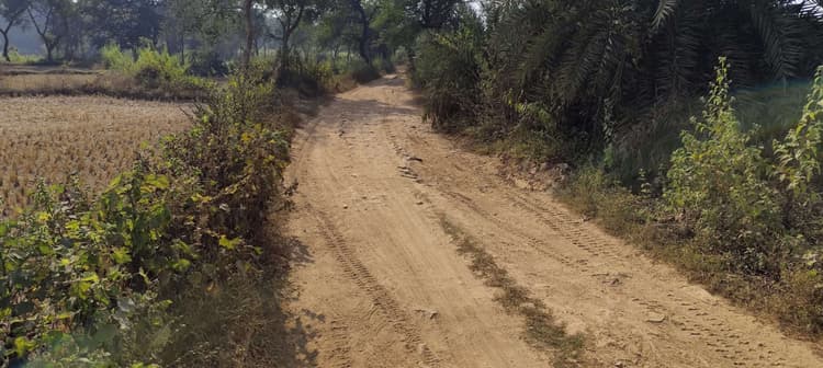 East Singhbhum News : हाइवे से सुंदरकनाली जाने वाली सड़क बदहाल, गड्ढों से परेशानी