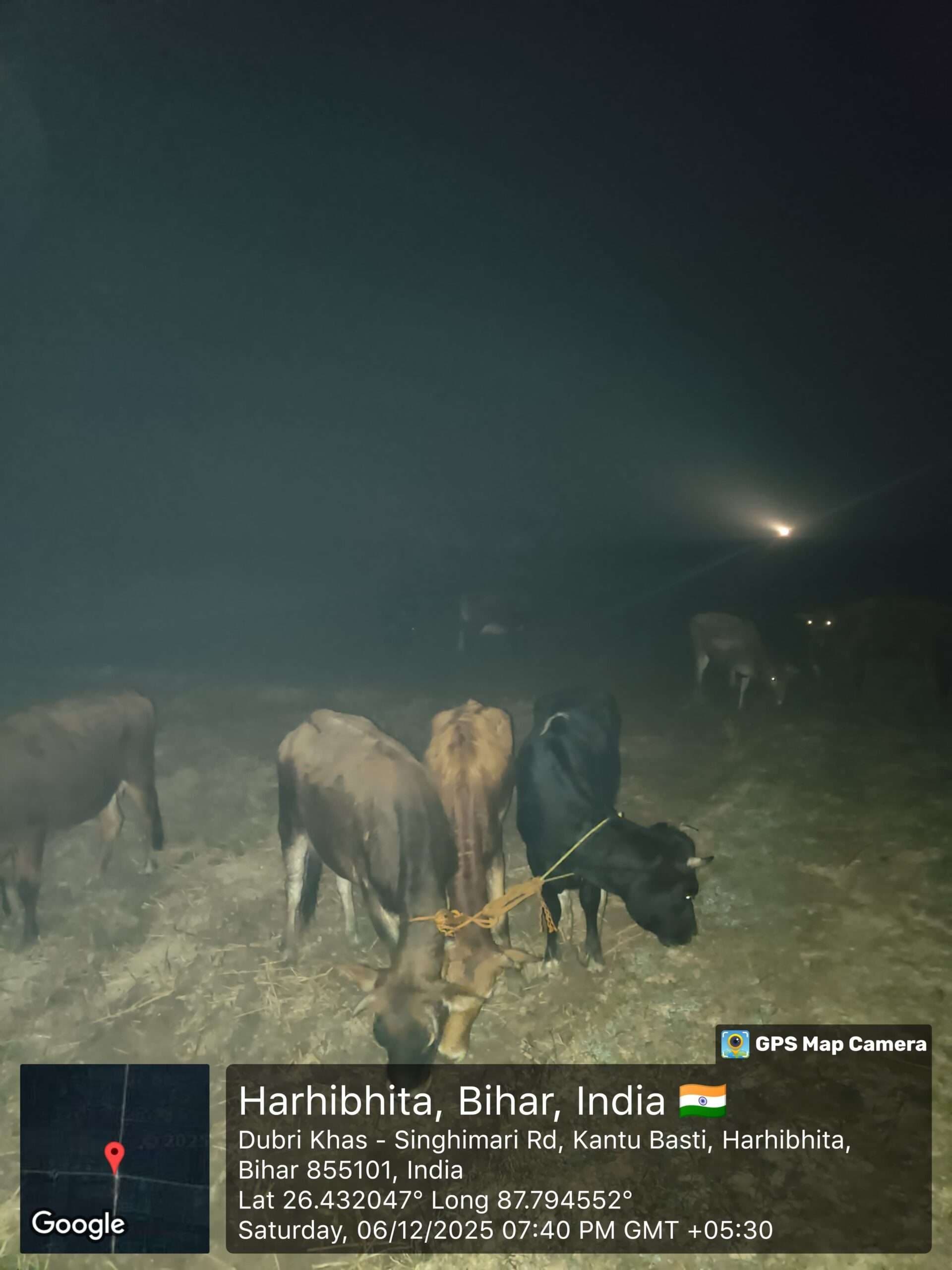 एसएसबी ने 15 मवेशियों को किया जब्त