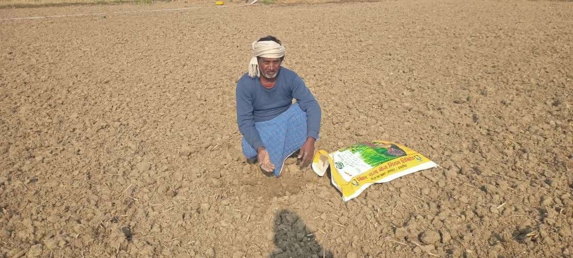 बीज बोने के 15 दिन बाद भी नहीं उगा गेहूं का पौधा, दोहरी मार से किसान परेशान