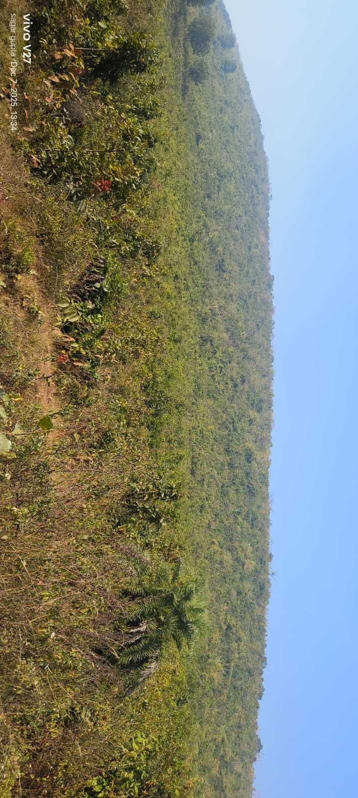 Giridih News :पिकनिक और टूरिस्ट स्पॉट के रूप में विकसित हो सकता है घोरंजी पहाड़