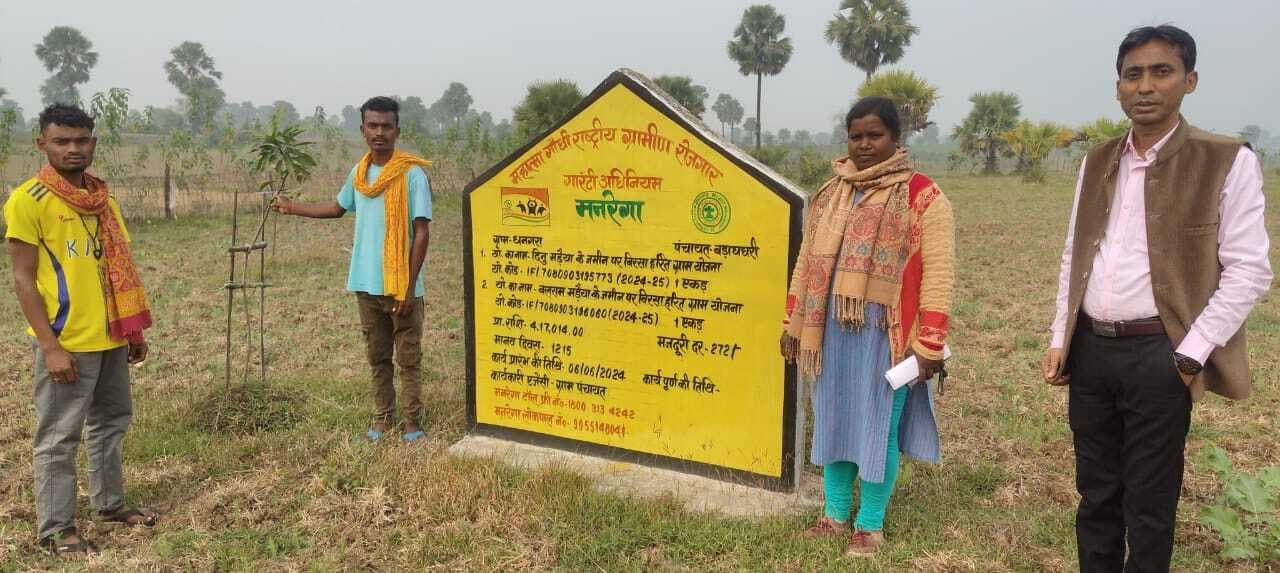 धनगरा गांव में बिरसा हरित योजना का लिया गया जायजा