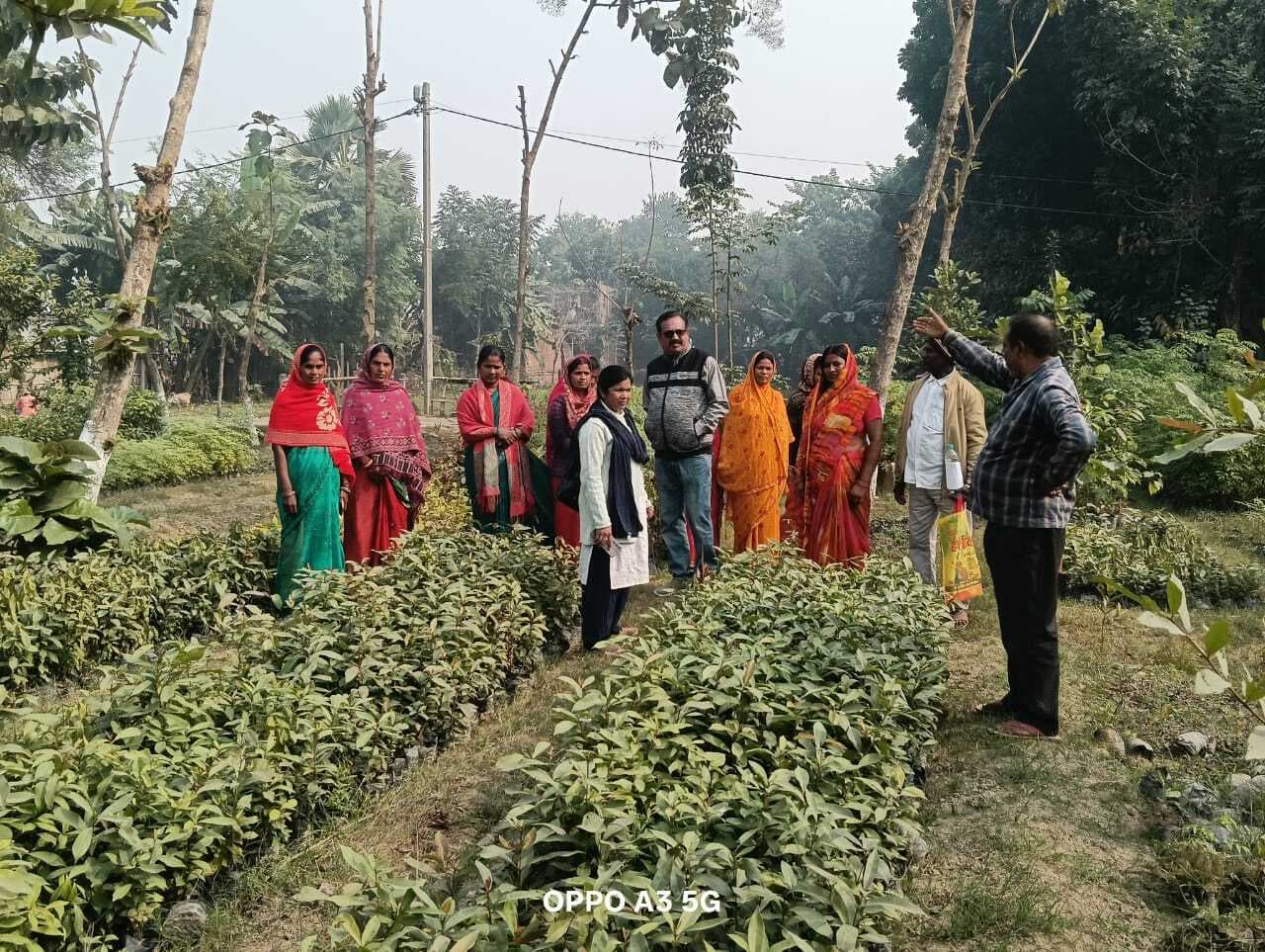 बीडीओ ने नौरंगा गांव का भ्रमण कर मॉडल किचेन गार्डन का लिया जायजा