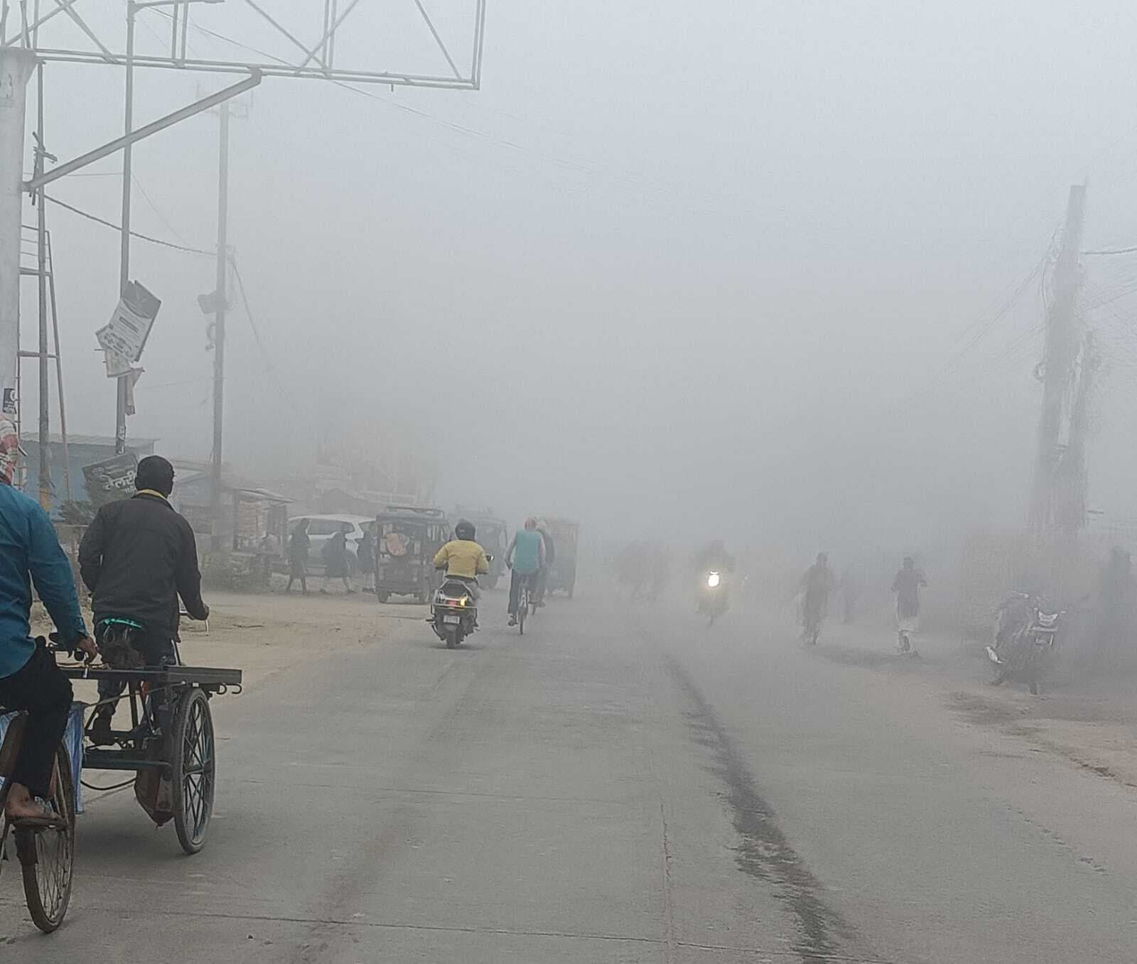 Darbhanga News: मौसम ने ली करवट, घना कोहरे के चादर में लिपटा रहा शहर