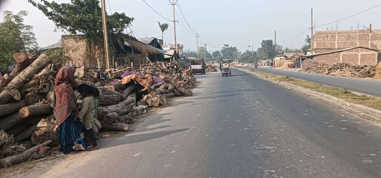 लकड़ी मिल संचालक सड़क को ही स्टॉक प्वाइंट की तरह कर रहे इस्तेमाल