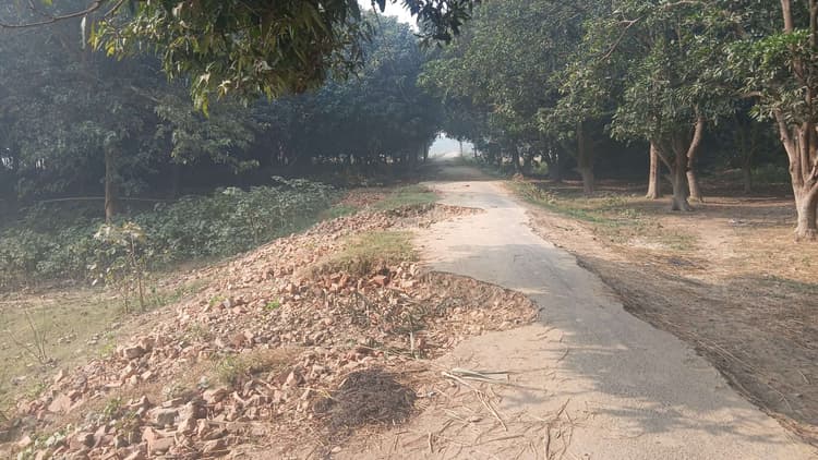 Madhubani News : बेलहा गांव जाने वाली सड़क में बने हैं दर्जनों गड्ढे, राहगीरों को हो रही कठिनाई