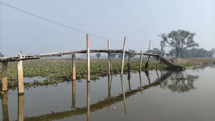 बेरदह धार पर स्थायी पुल नहीं रहने के कारण 15 वर्षो से चचरी पुल के सहारे आवागमन को मजबूर