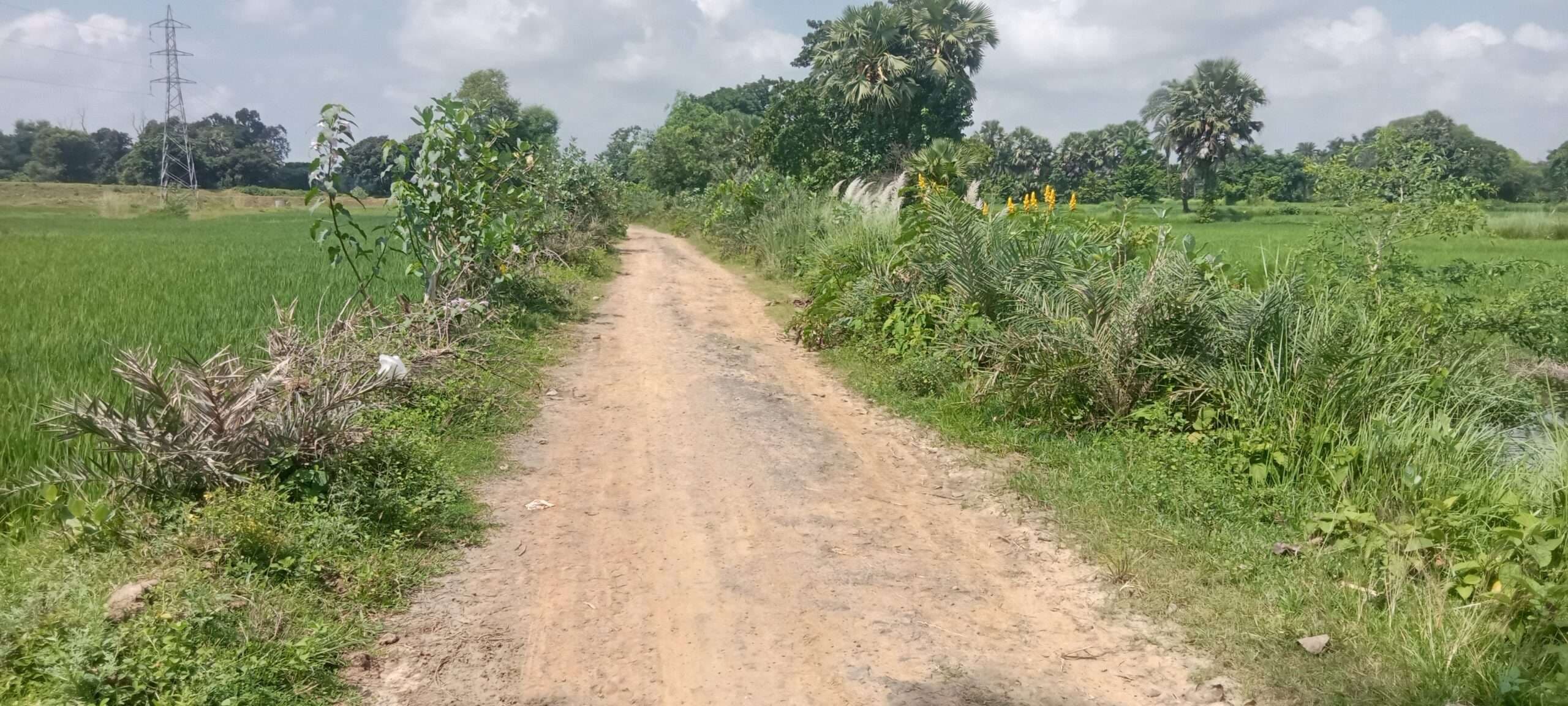 भगैया हाट जाने में लोगों को परेशानी, मरम्मत की उठी मांग