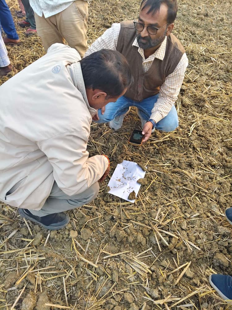 कृषि वैज्ञानिक ने कहा- खेतों में पौधा नहीं निकला, मतलब गेहूं बीज था खराब