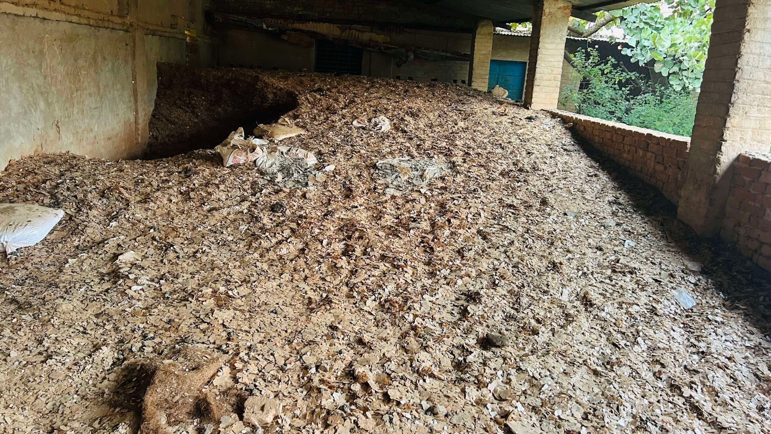 Giridih News :पांच अवैध माइका गोदामों में की छापेमारी