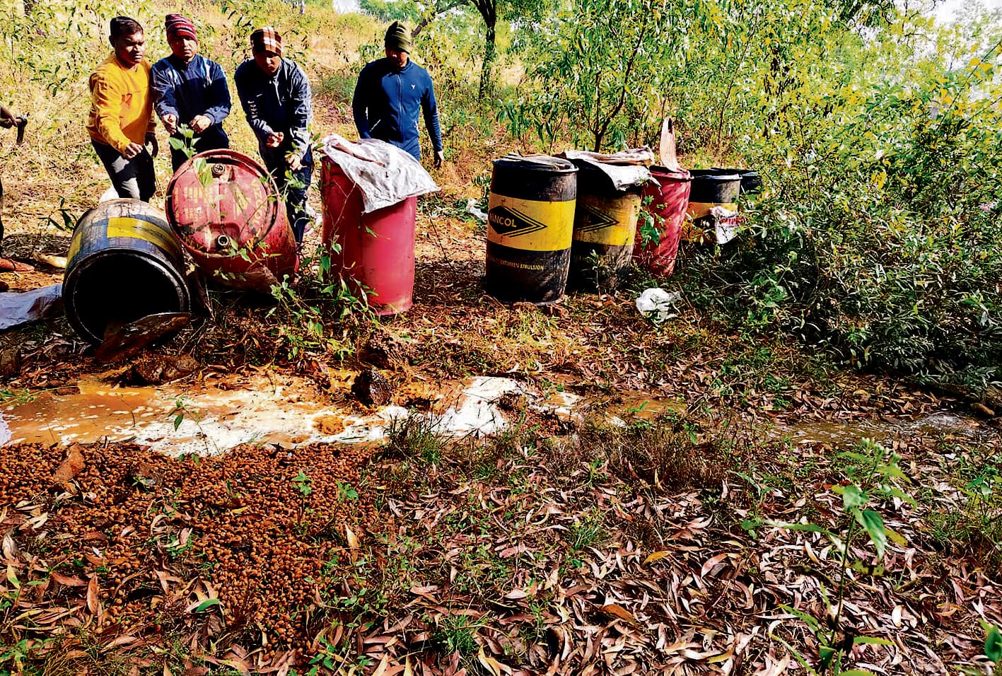 Seraikela Kharsawan News : टिनागोड़ा जंगल में बनायी जा रही थी शराब, जावा-महुआ नष्ट किया