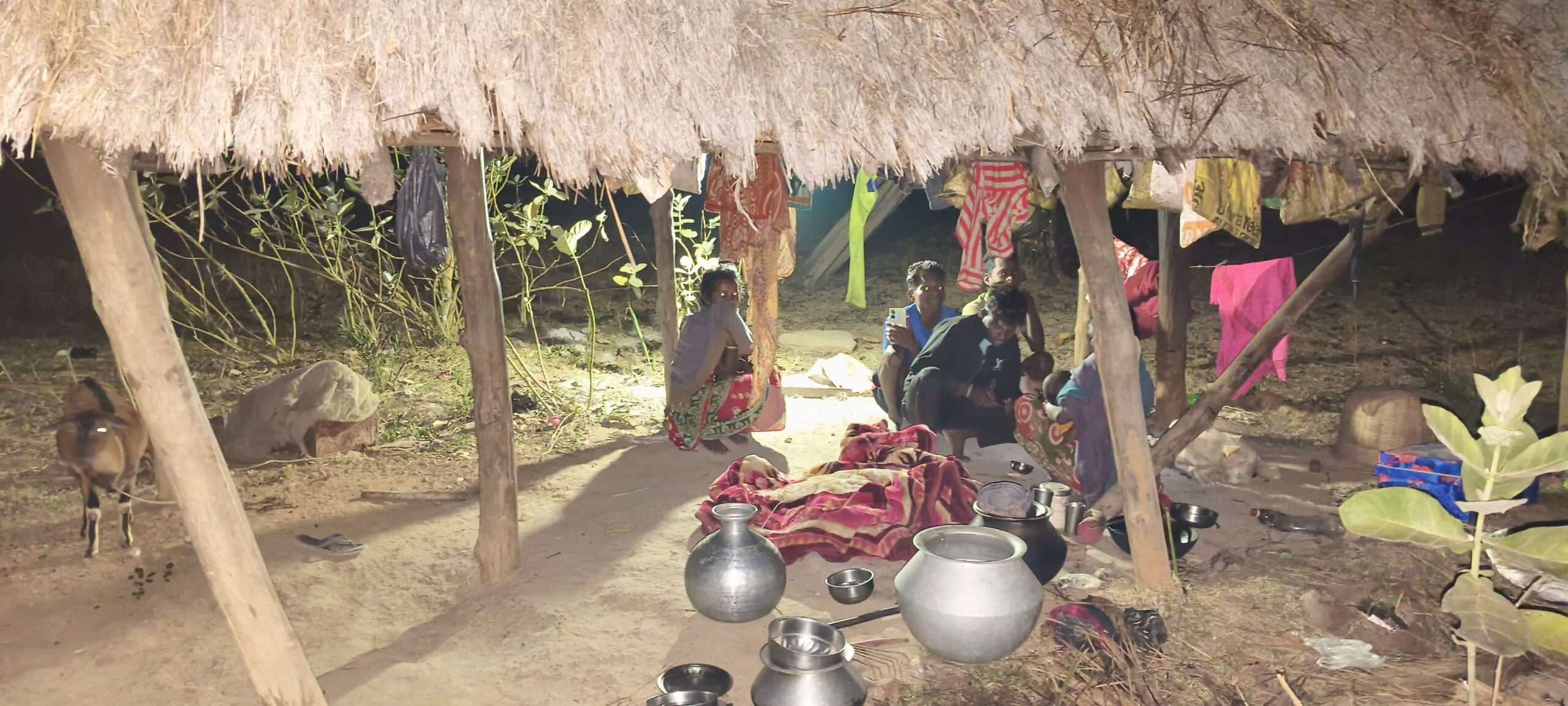 East Singhbhum News : ठिठुरते कट रहीं सबरों की सर्द रातें, आवास नहीं, पशुओं के साथ सो रहे