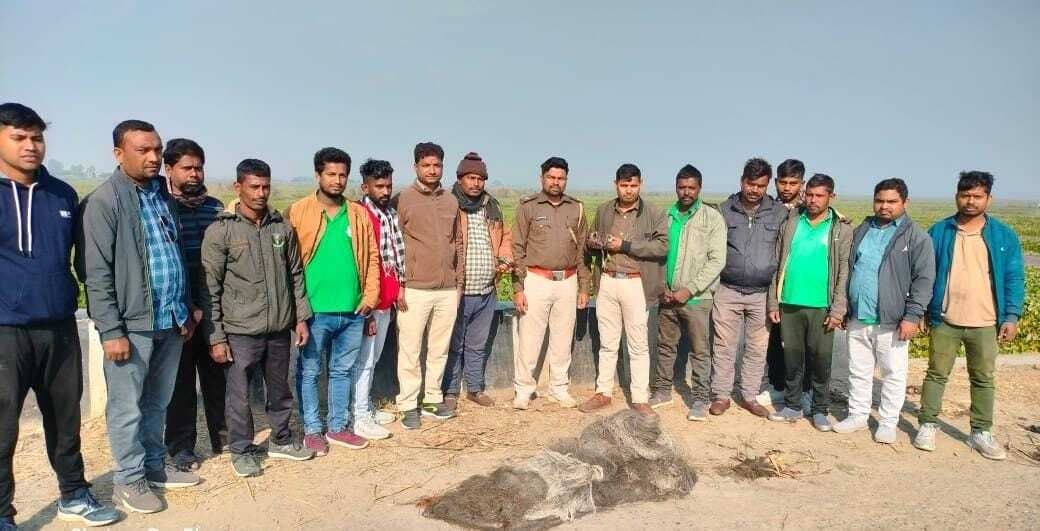 पतौड़ा झील में दुर्लभ पक्षी की रेस्क्यू, अवैध शिकार पर वन विभाग ने की कार्रवाई