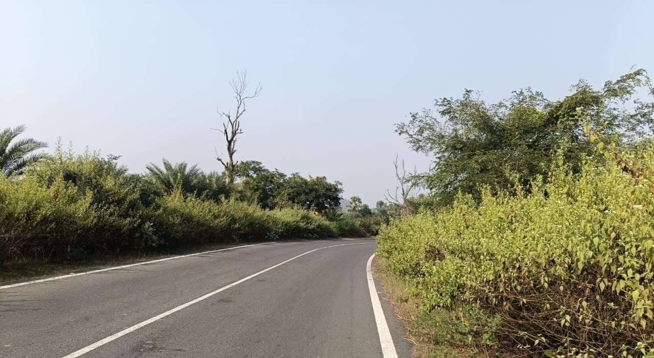 बोरियो में सड़क दुर्घटना में जनवरी से अब तक 10 लोग काल के गाल में समा गए