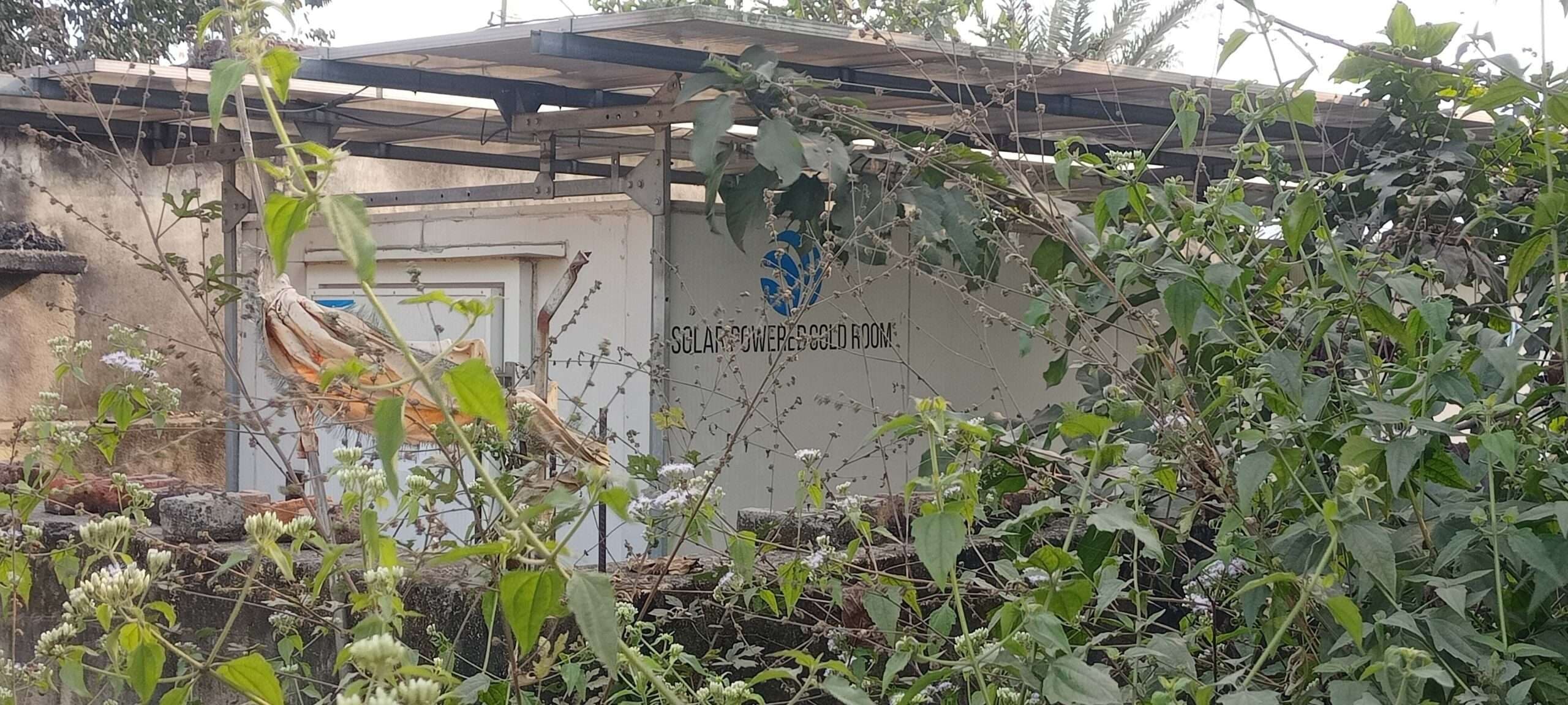 East Singhbhum News : महुलिया में लाखों का सोलर मिनी कोल्ड स्टोर बेकार