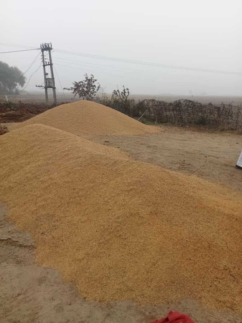 दुर्गावती प्रखंड की छांव, खमीदौरा व चेहरिया पैक्स के डिफाल्टर होने से किसान चिंतित