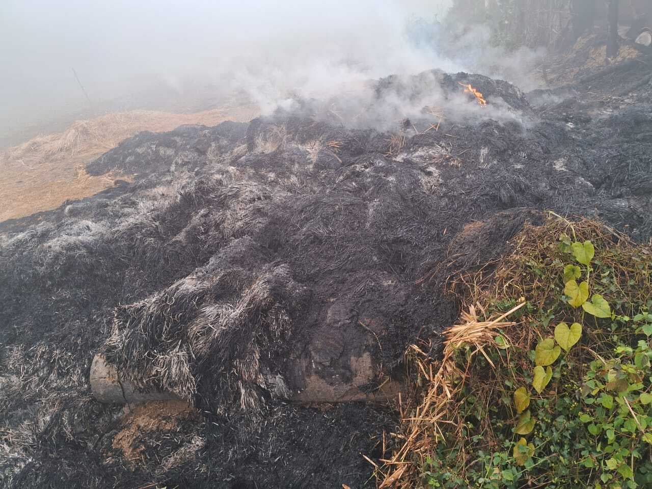 दो घरों में चोरी के बाद खलिहान व गौशाला में लगायी आग