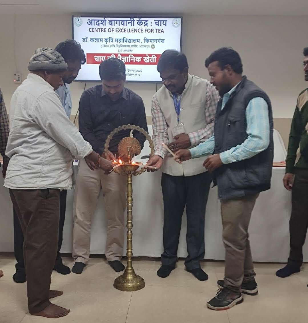 बिहार में चाय की खेती के लिए अनुकूल परिस्थितियां, सरकार भी दे रही बढ़ावा