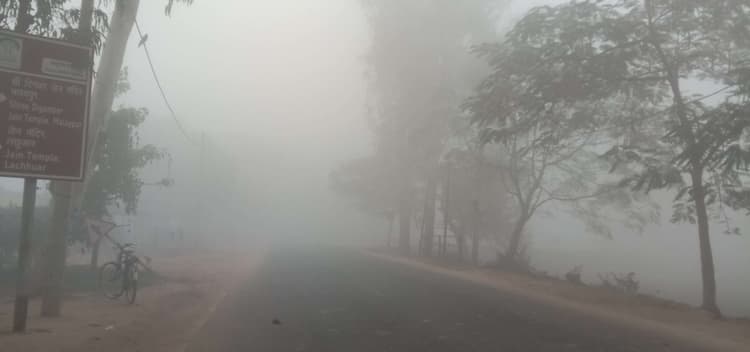 ठंड व घने कोहरे से वाहनों की थमी रफ्तार