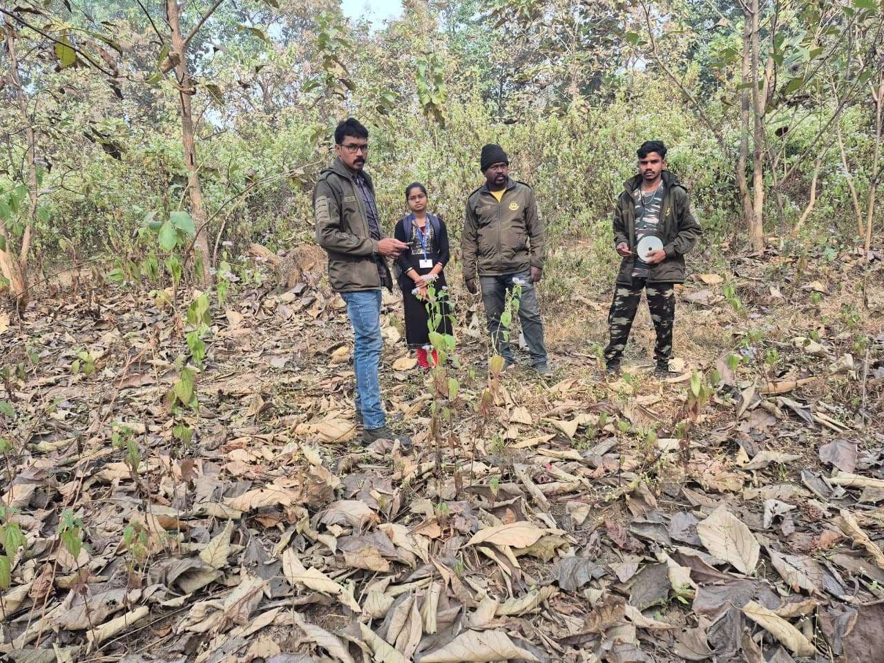 East Singhbhum News : चाकुलिया जंगल से हायना, लोमड़ी और खरगोश के पदचिह्न मिले