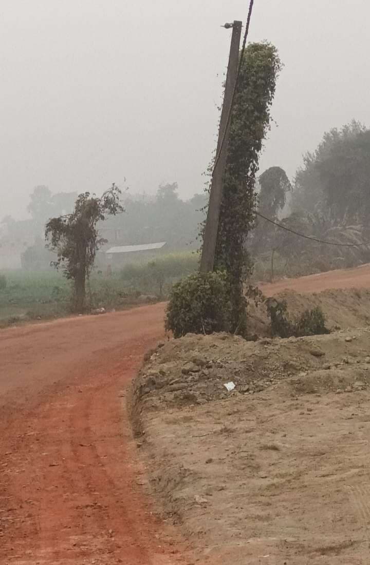 Samastipur News:अनुपयोगी बिजली पोल बना रोसड़ा-शिवाजीनगर पथ पर खतरा