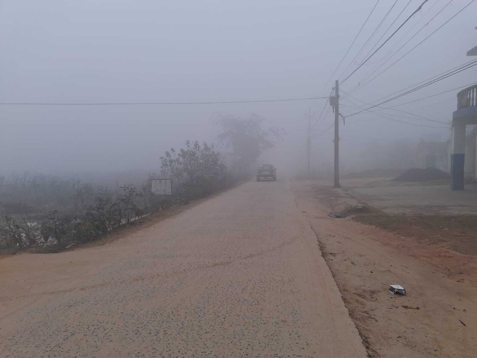 जामताड़ा में घना कोहरा व तापमान में गिरावट से बढ़ी ठंड