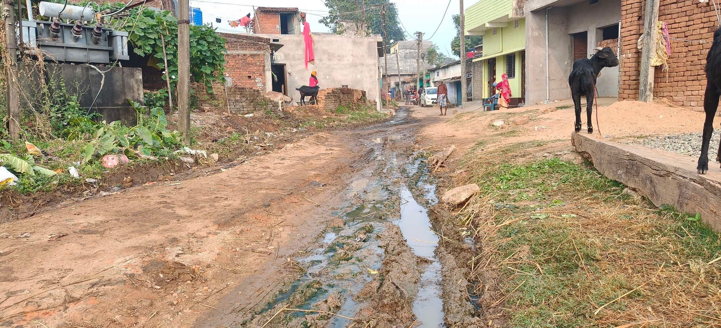 Bokaro News : सड़क पर बह रहे दूषित पानी से त्रस्त हैं जम्हार के ग्रामीण