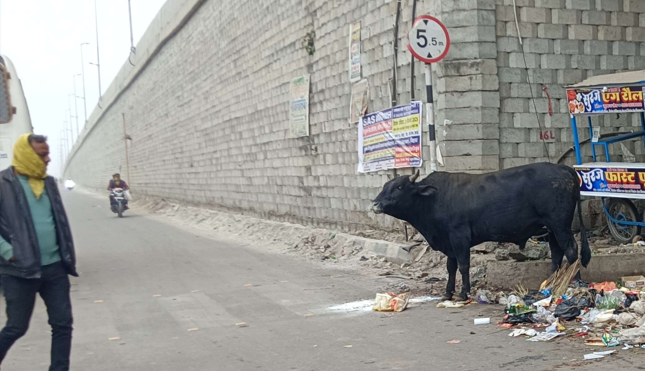 दिनारा बाजार में सांड के आतंक से डर का माहौल, कई लोगों को किया जख्मी