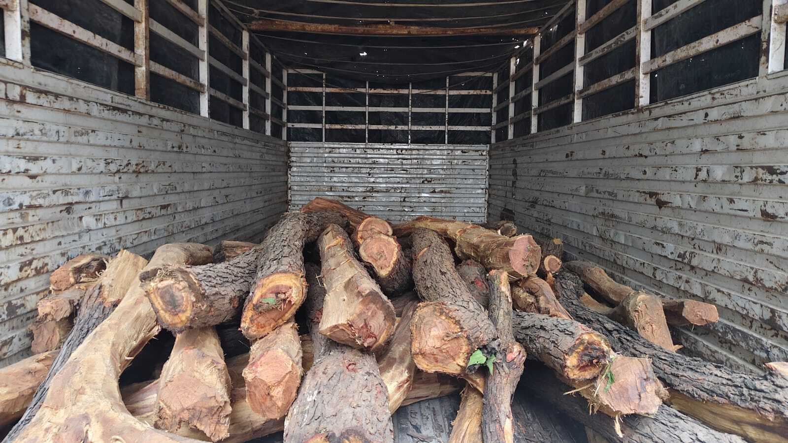 15 क्विंटल खैर की लकड़ी के साथ मिनी ट्रक और बाइक जब्त