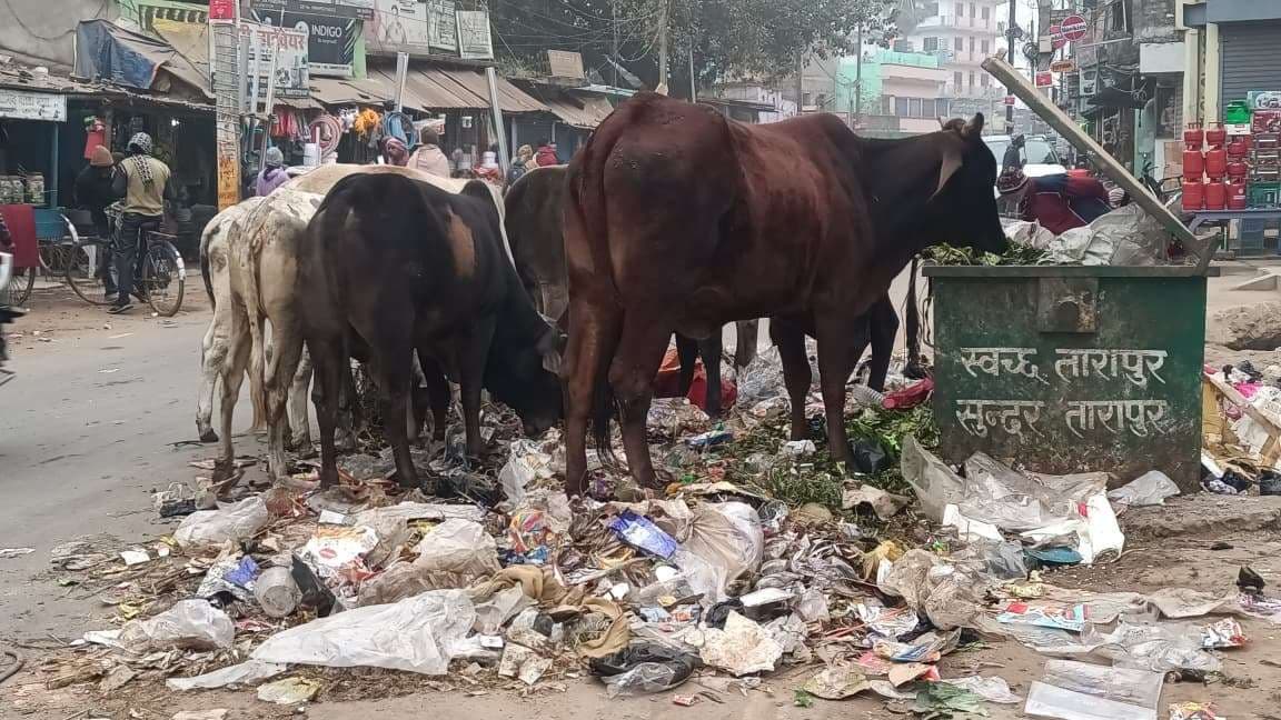 तारापुर नगर पंचायत की लापरवाही से शहर में कचरे का अंबार, लोग परेशान
