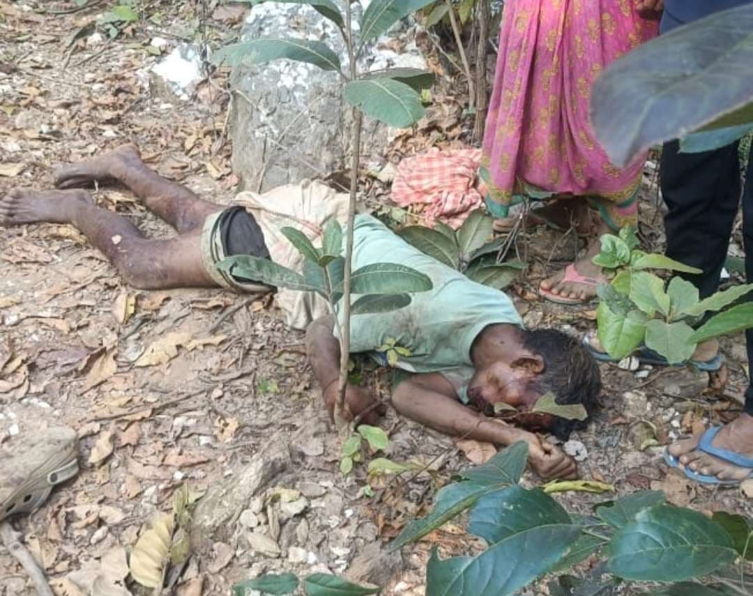 Chaibasa News : सारंडा : 24 घंटे में हाथी ने दो लोगों की पटक कर जान ली