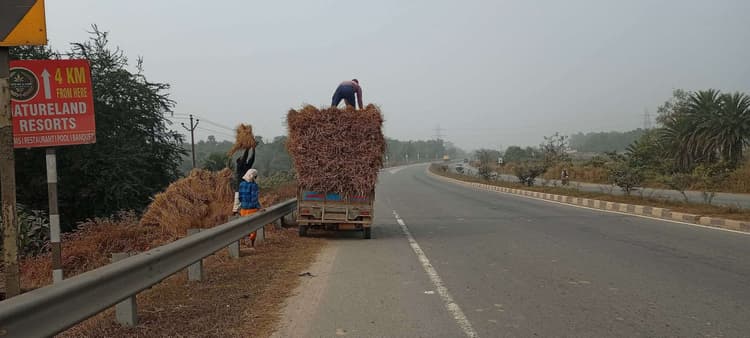 East Singhbhum News : बादल व कोहरा देख धान समेट रहे किसान