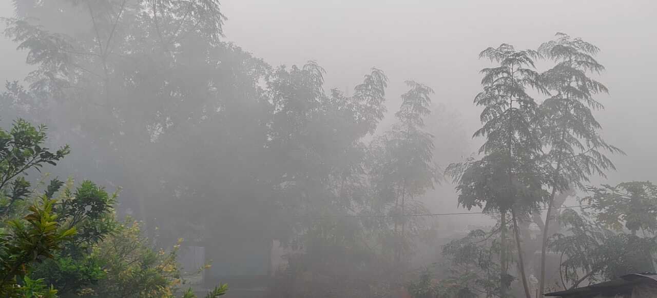 लुढ़कते पारे के साथ घट रही बाजार की रौनक, घरों में दुबक रहे लोग