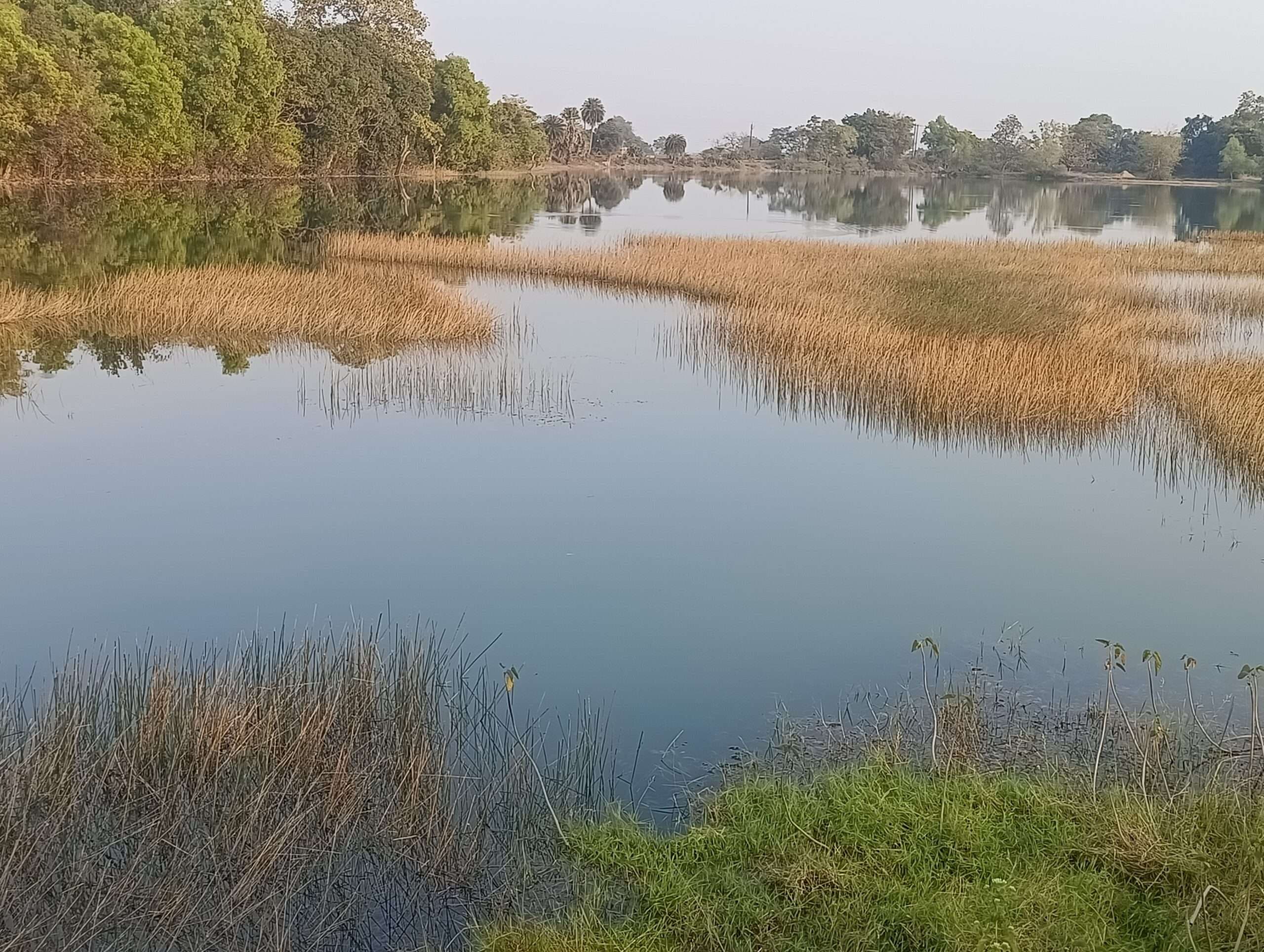 Giridih News :सैलानियों का पसंदीदा पिकनिक स्पॉट है सरिया का पावापुर डैम