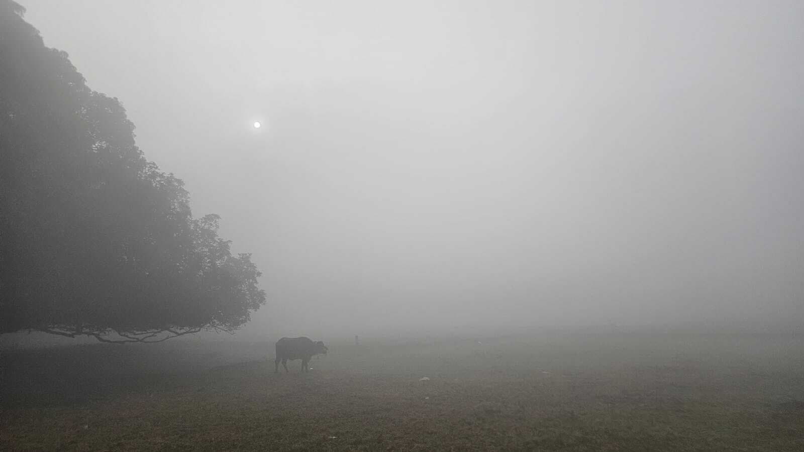 Madhubani News : दिन में निकले भाष्कर, पछिया हवा ने बढ़ायी कनकनी